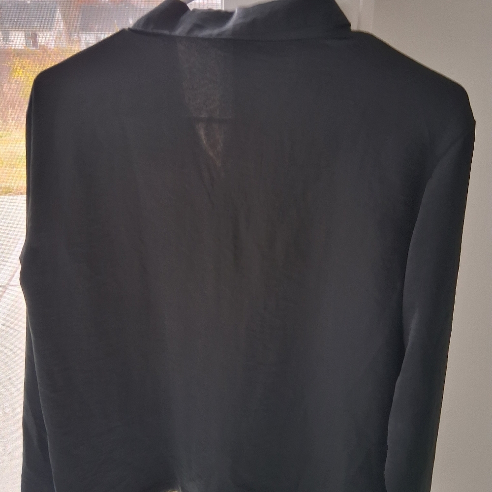 Black Sheer Button-Up Blouse - Picture 5 of 5